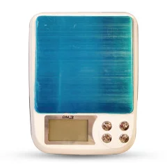ترازو 600 گرمی چینی