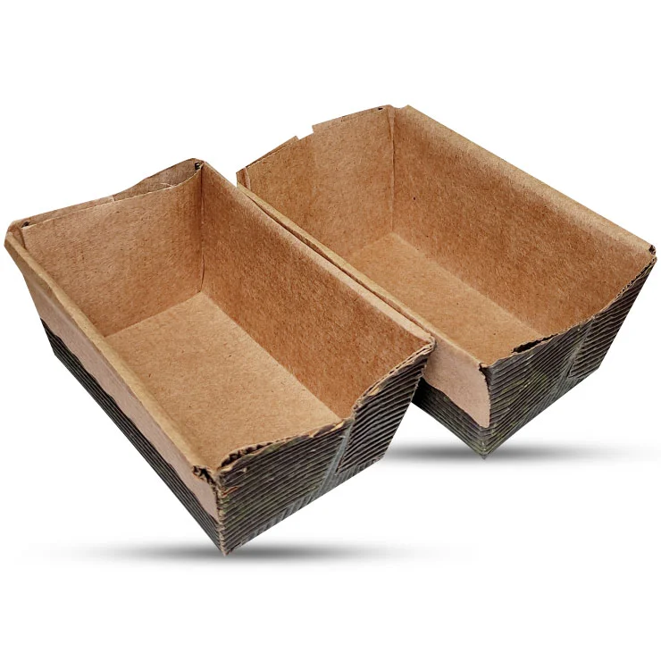 کپسول صبحانه لوف مینی
