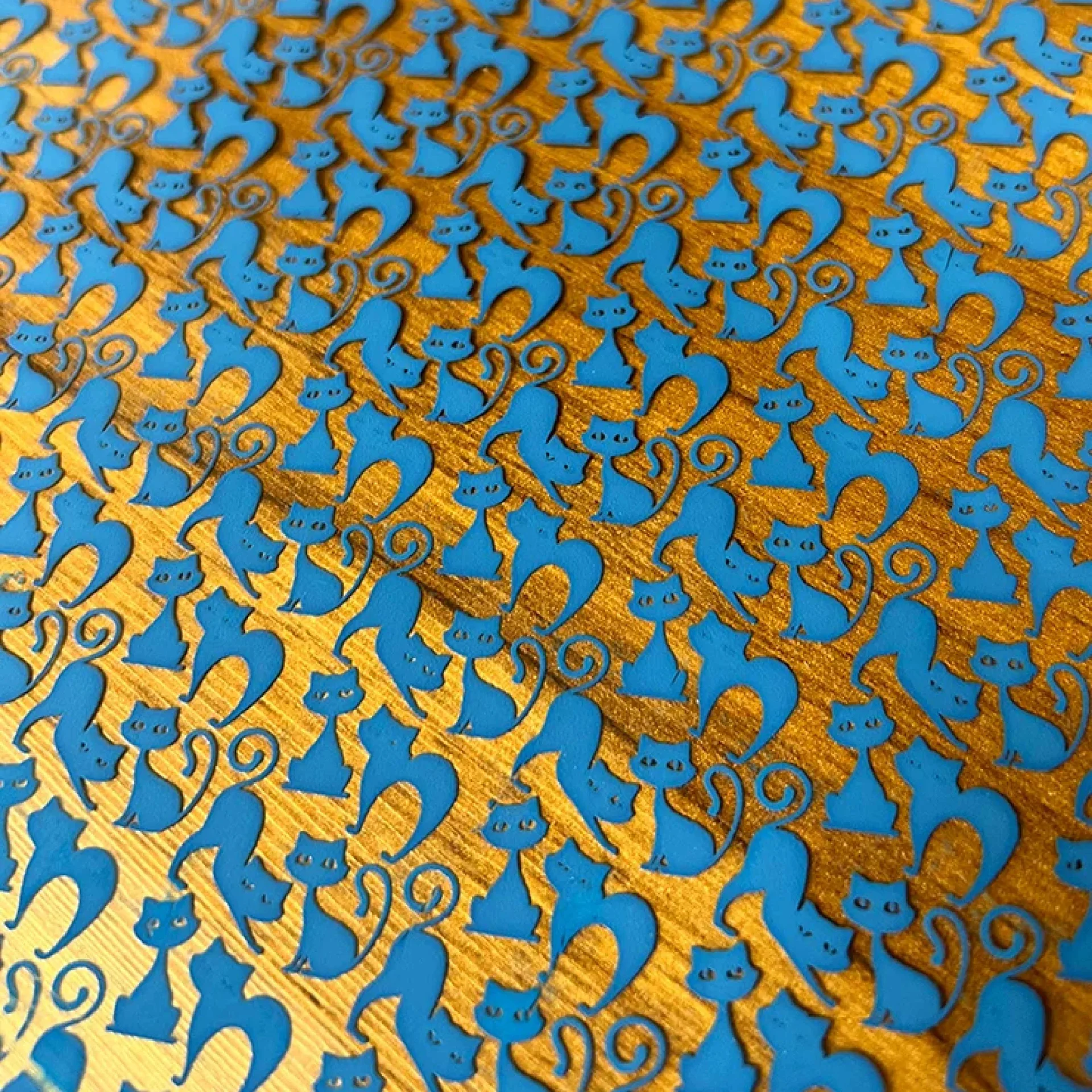 ترانسفرشیت گربه کد 123