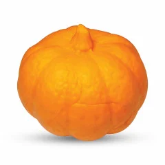 مولد کدو تنبل کوچک کد 513 (مناسب هالووین)